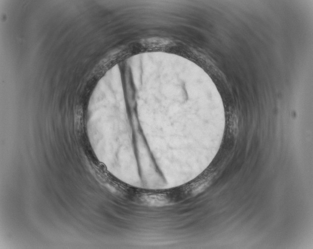 X0000085750283200704131719