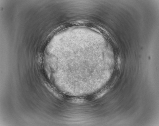 X0000085750284200704131719