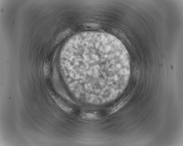 X0000085750285200704131719