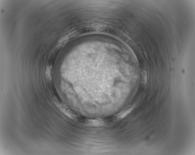 X0000085750286200704131719