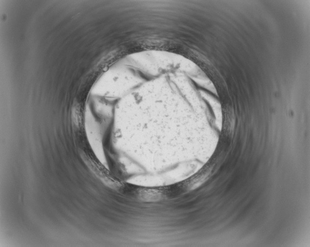 X0000085750287200704131719