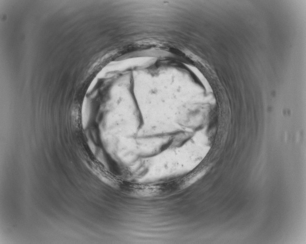 X0000085750288200704131719