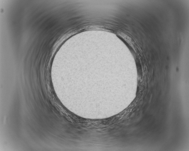 X0000085750289200704131719