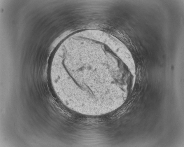 X0000085750292200704131719