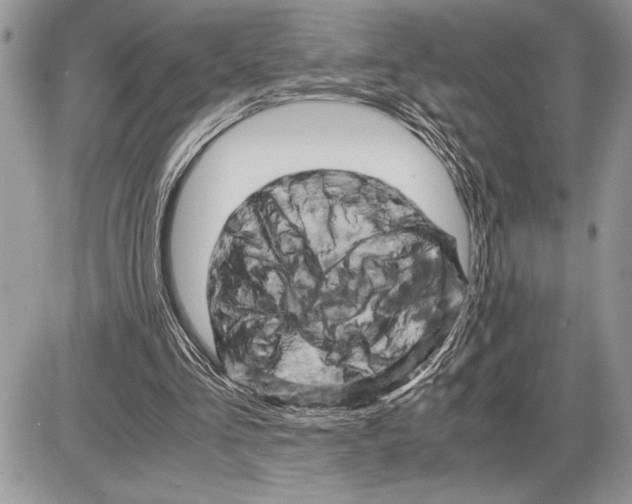 X0000085750293200704131719