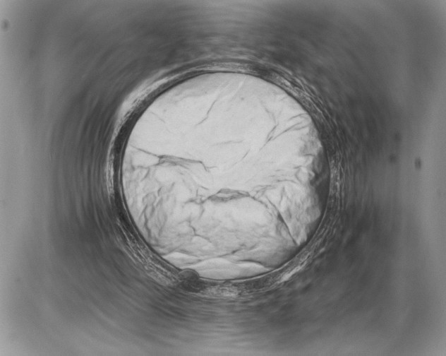 X0000085750294200704131719