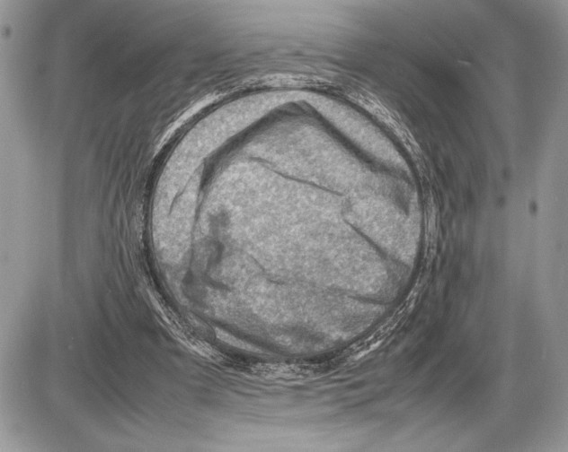 X0000085750297200704131718