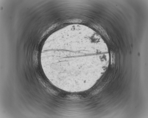 X0000085750300200704131718