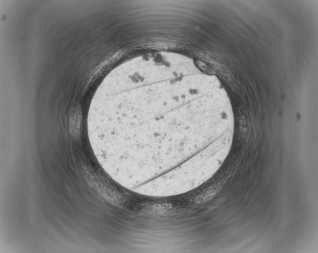 X0000085750304200704131718