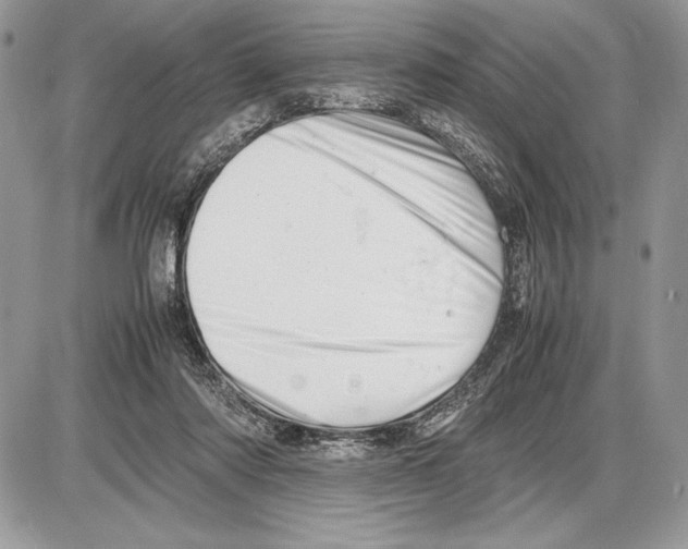 X0000085750310200704131718