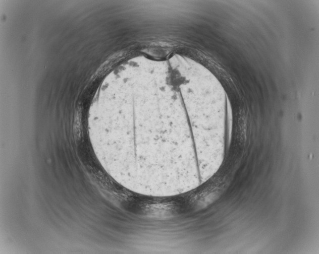 X0000085750312200704131718