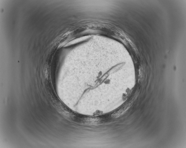 X0000085750313200704131718