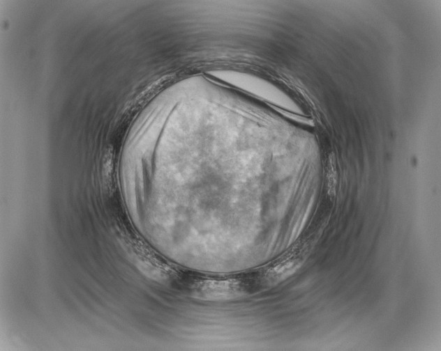 X0000085750314200704131718