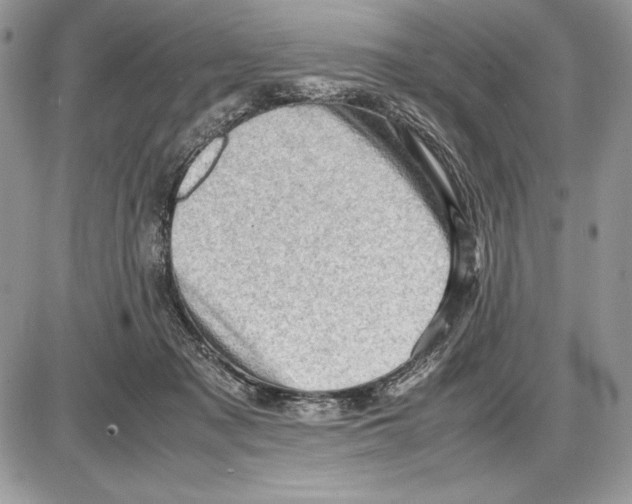 X0000085750317200704131718