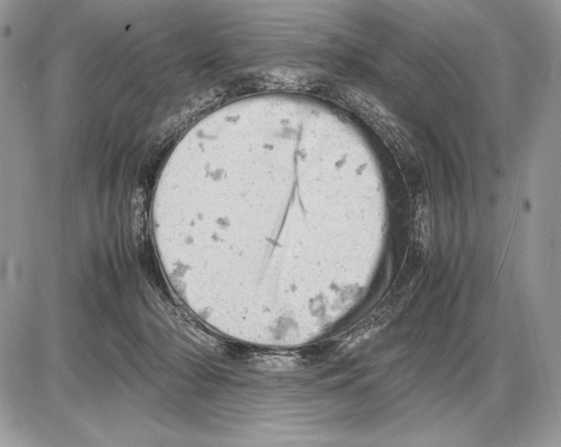 X0000085750318200704131718