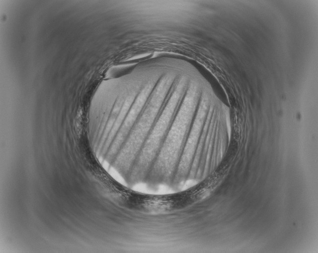 X0000085750319200704131718