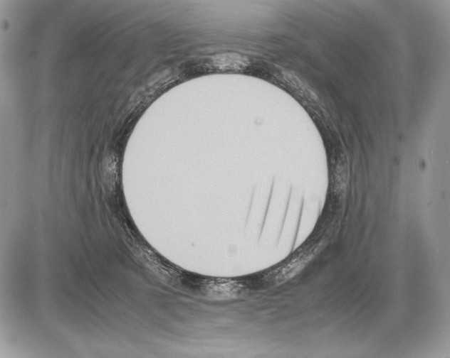 X0000085750321200704131718