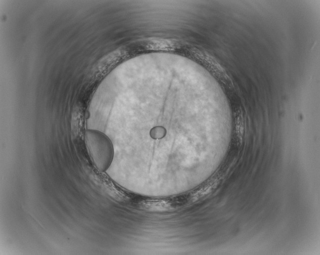 X0000085750322200704131718