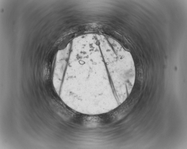 X0000085750324200704131718