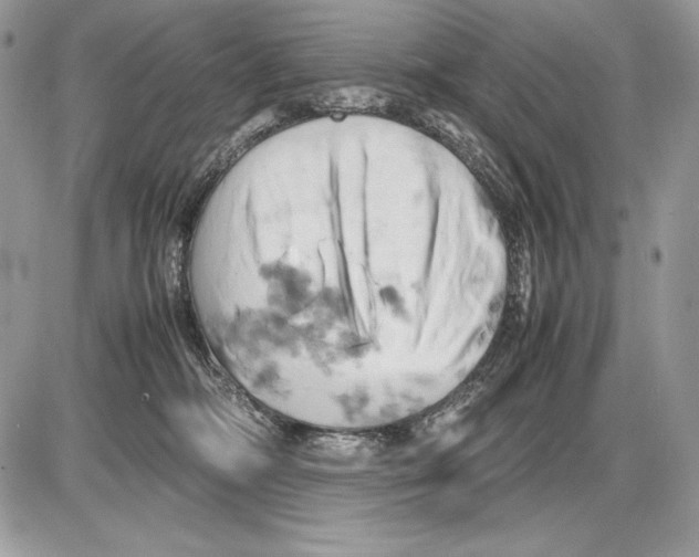 X0000085750326200704131718