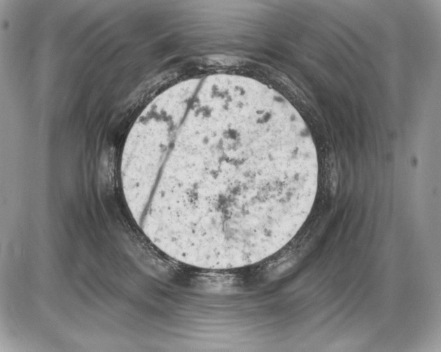 X0000085750328200704131718