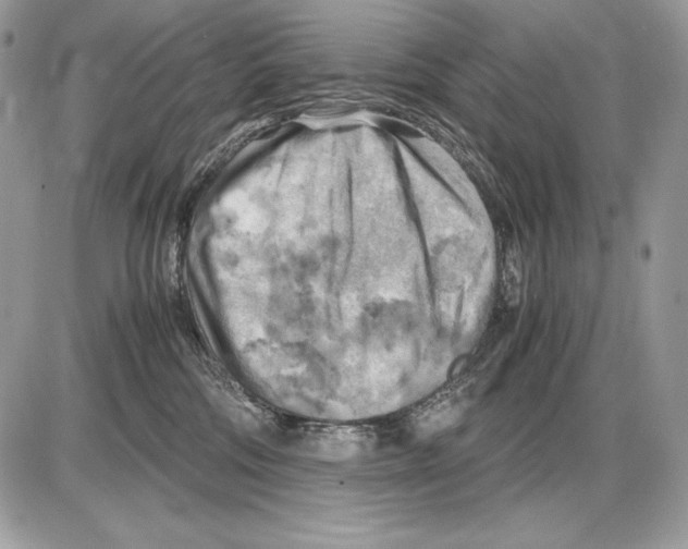 X0000085750330200704131718