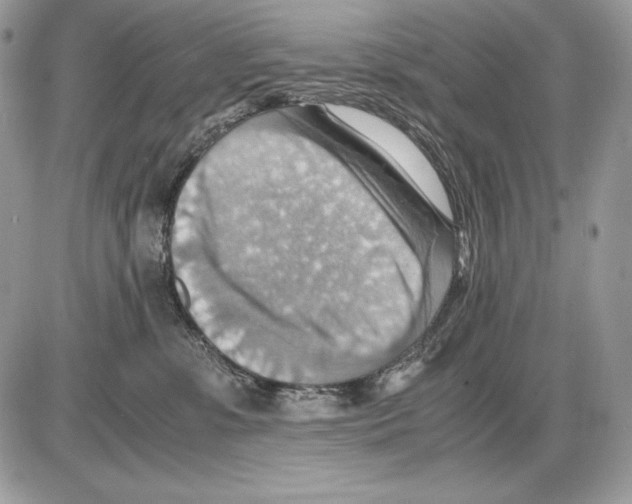 X0000085750331200704131718