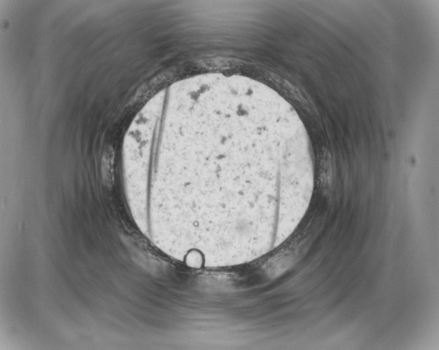 X0000085750332200704131718