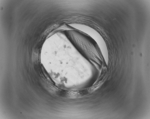 X0000085750333200704131718