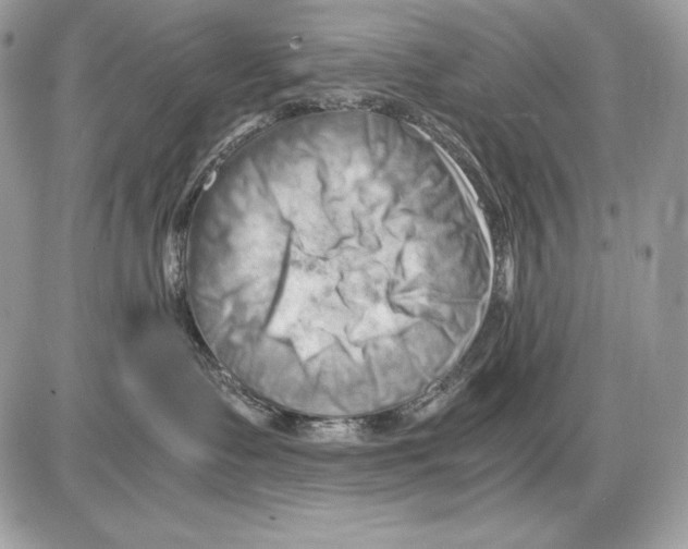 X0000085750335200704131718