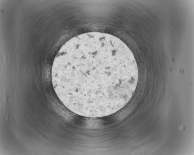 X0000085750336200704131718