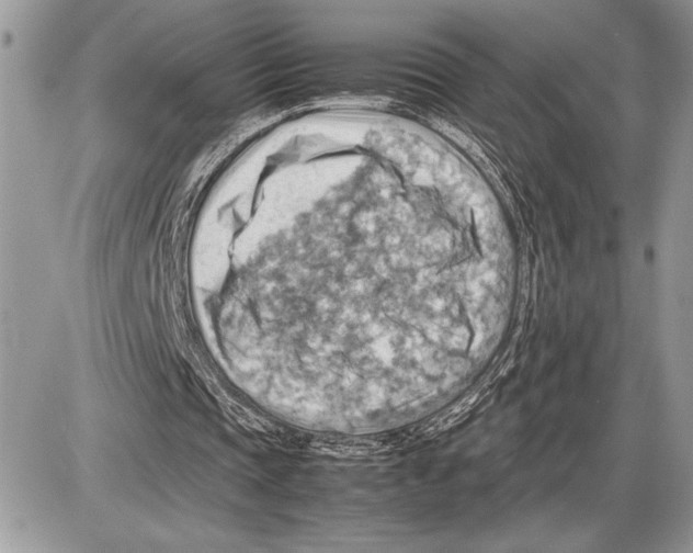 X0000085750337200704131717