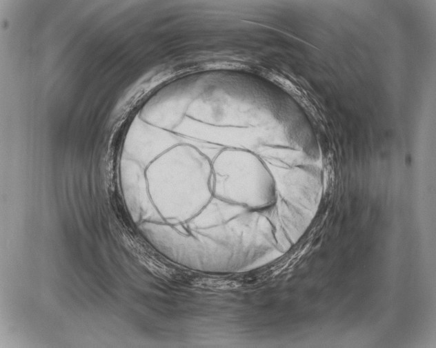 X0000085750339200704131717