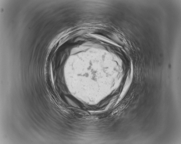 X0000085750340200704131717