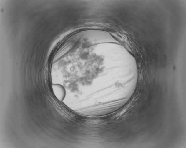 X0000085750342200704131717