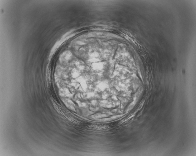 X0000085750343200704131717