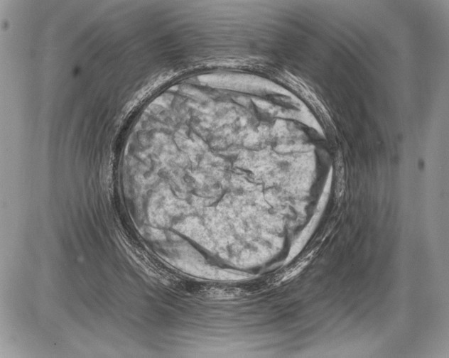 X0000085750346200704131717