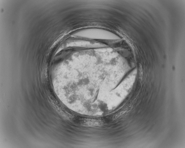 X0000085750347200704131717