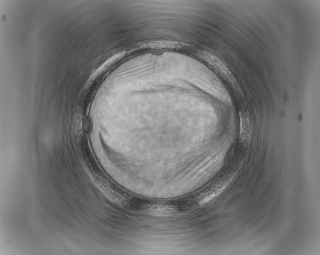 X0000085750348200704131717