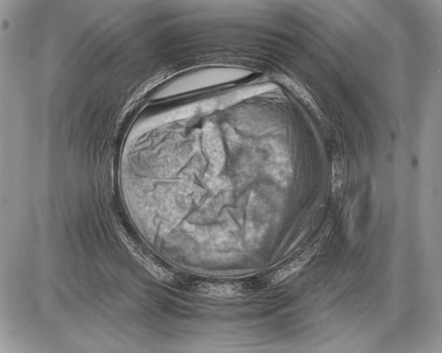 X0000085750349200704131717