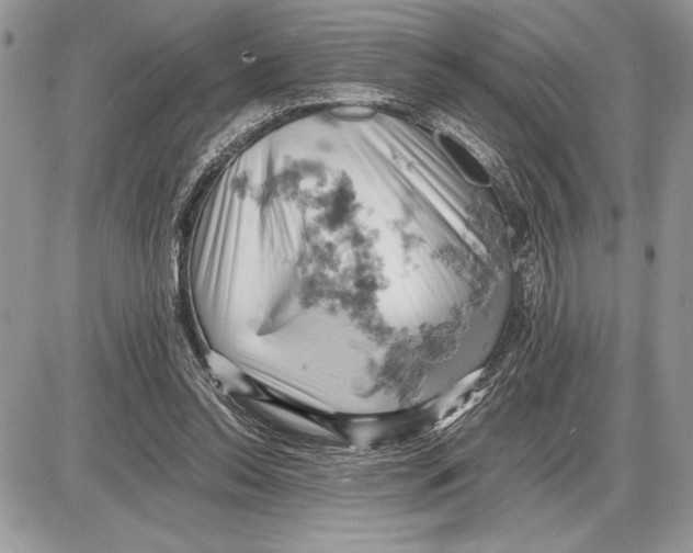 X0000085750350200704131717