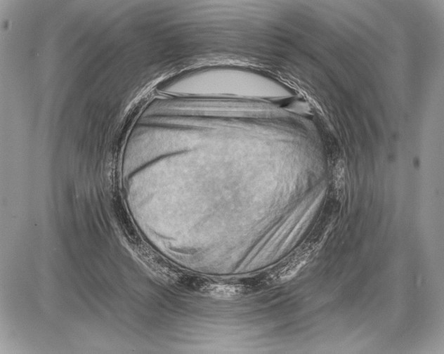 X0000085750352200704131717