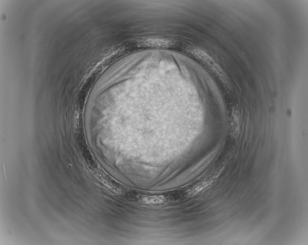 X0000085750355200704131717