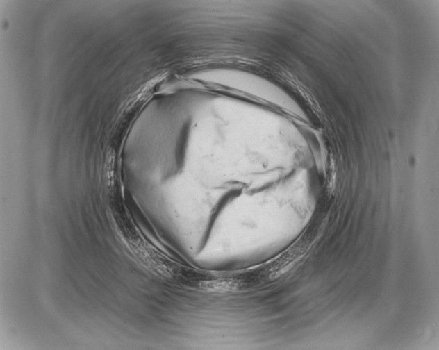 X0000085750356200704131717