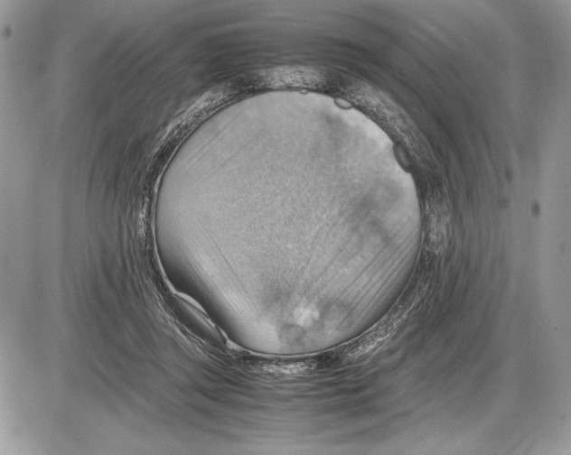 X0000085750357200704131717