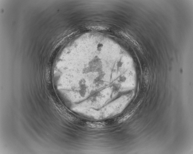 X0000085750359200704131717