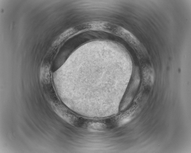 X0000085750360200704131717