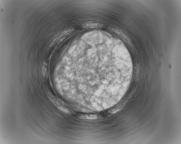 X0000085750361200704131717