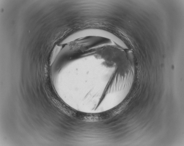 X0000085750362200704131717