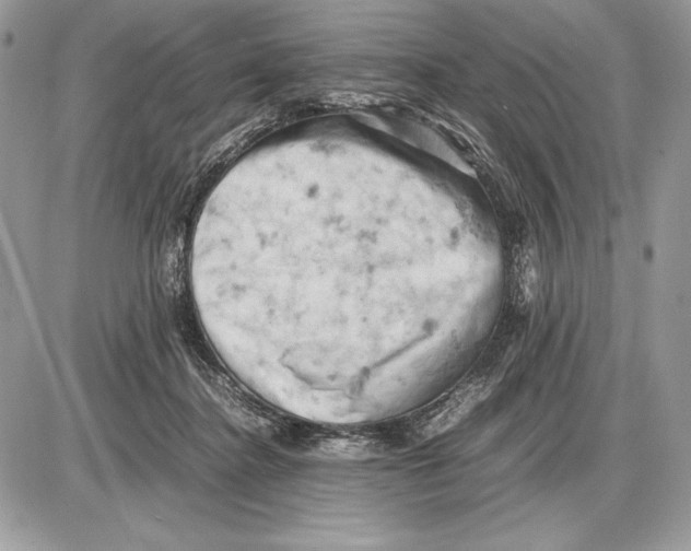 X0000085750364200704131717